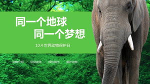 Modello PPT di incontro di classe a tema per la Giornata mondiale degli animali con sfondo di elefanti della foresta