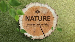 Tree rings and stakes background PPT template free download
