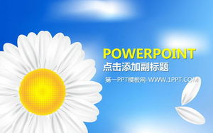 Refreshing and elegant wild chrysanthemum background PPT template
