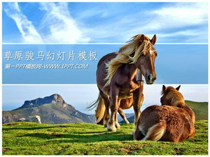 Horses on the grassland PPT template download