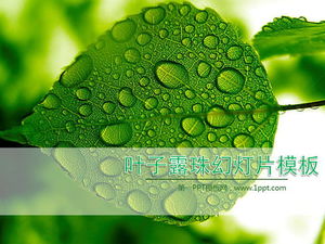 Scarica il modello di presentazione della pianta con foglie verdi fresche e sfondo di goccioline d'acqua