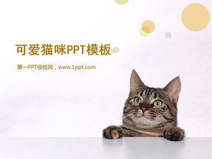 Download del modello di presentazione del gatto carino
