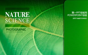 Green of Life Yeşil Bitkiler PowerPoint sunum şablonları