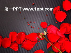 Télécharger le modèle PPT de rose rouge d'amour