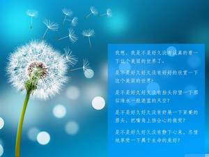Blue beautiful dandelion PPT background picture
