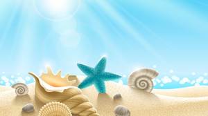 Image d'arrière-plan PPT d'étoile de mer de coquille de plage bleue