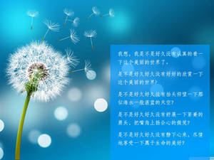 Beautiful dandelion PPT background picture download