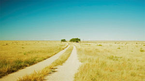 Field country road PPT background picture