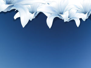 Elegant lily flower PPT background picture