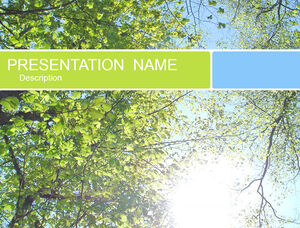The sun shines through the branches and leaves, fresh and natural ppt template