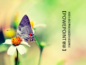 Butterfly picking flowers simple and refreshing ppt template