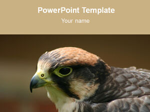 Eagle - animal ppt template