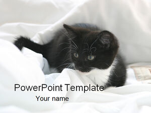 cute cat ppt template