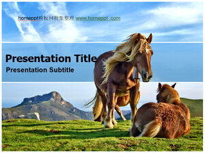 Horses on the grassland ppt template