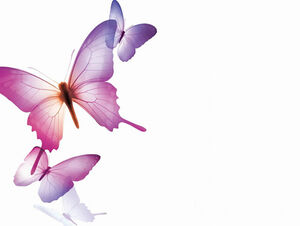 Modèle ppt de beau papillon violet