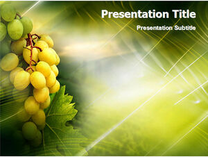 Grape PPT natural template