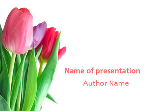flowers ppt template