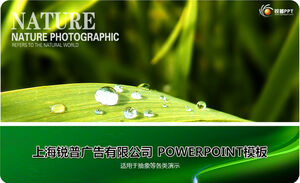 Dewdrops on green leaves - green nature ppt template
