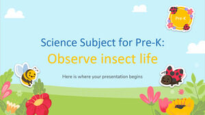 Science Subject for Pre-K: Observe insect life