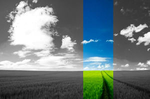 A touch of color black and white color effect mask ppt effects