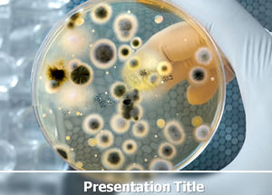 Bakteriyel tahlil analizi - Biyomedikal Araştırma ppt şablonu