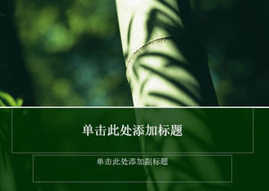 Bamboo close-up ppt template