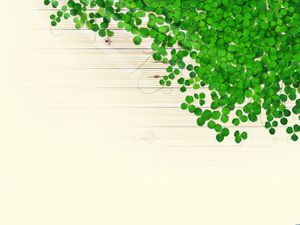 Clover covered with wood background pictures