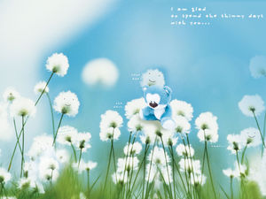 Sevimli küçük ayı çiçek arka plan resmi