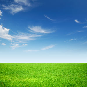 HD blue sky white clouds grass ppt picture
