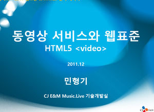 HTML5 Adaptation and Functional Technology Introduction Korea Technology ppt template