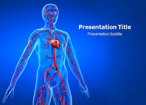 Human artery distribution ppt template