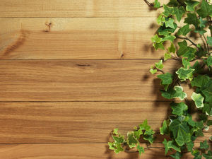 Ivy covered wooden ppt background
