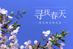 Looking for spring - Huazhong Agricultural University Brief introduction ppt template