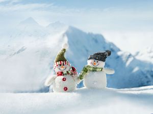Lovely snowman couple ppt picture