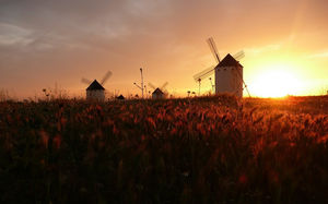 Maggie in the windmill romantic sunset background image