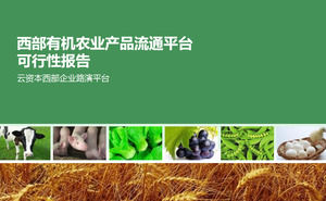prodotti agricoli rapporto organico PPT piattaforma circolazione