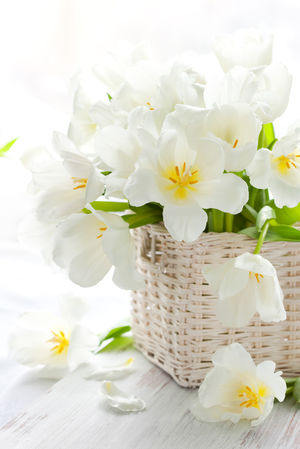 Refreshing picture of flowers background