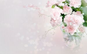 Warm and elegant carnations Mother 's Day ppt pictures