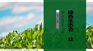 녹색 생태 농산물 홍보를위한 ppt 템플릿