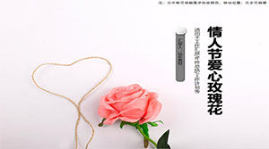 Valentines day love rose ppt template