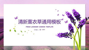 Template PPT gaya kartu dengan latar belakang lavender segar