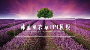 Lila Lavendel Hintergrund PPT-Vorlage kostenlos herunterladen