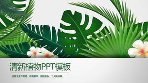绿色阔叶植物背景PPT模板免费下载
