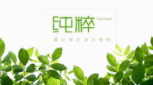 Letni motyw PPT szablon ze świeżym zielonym tle liści