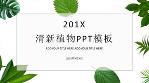 新鮮な緑の植物の葉の背景PPTテンプレート無料ダウンロード