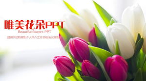 Beautiful tulip flowers background universal PPT template free download