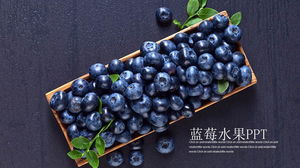 紫色水果蓝莓PPT模板免费下载