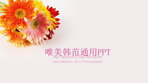 Download gratuito del modello PPT di sfondo del bellissimo crisantemo