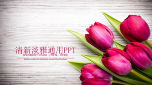 Cintai template PPT Hari Valentine dengan latar belakang mawar yang lembut