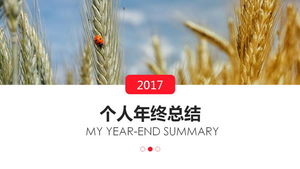 Wheat background year-end summary PPT template download